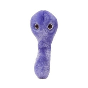 The SuperBugs Range C-Diff