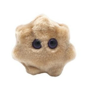 The SuperBugs Range Rotavirus