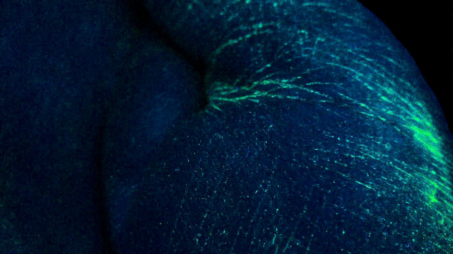 UV GERM Training lotion - close up